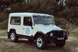 Farm and Local Market Tour for Authentic Algarve Flavors