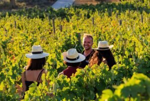 Wine, Lunch and Beach Experience in Albufeira